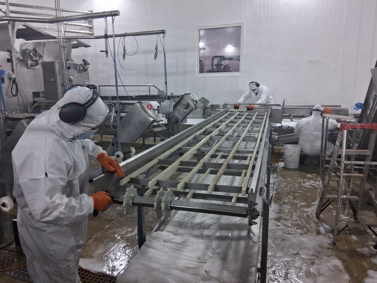 Limpieza de planta de procesos Yal – AquaChile